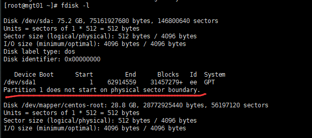 fdisk_storage